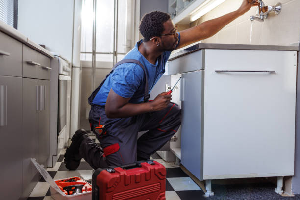 Best Residential Plumbing Services  in Lamont, MI