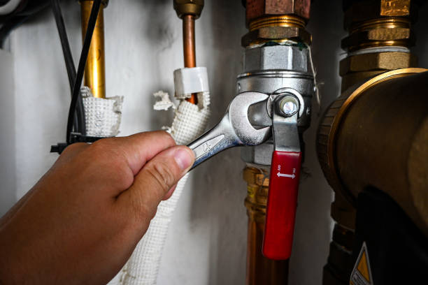 Best Toilet Repair Services  in Lamont, MI